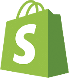 shopify_bag2